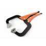 Grip-on C-Clamp With Swivel Pads and 0-100mm Spacing